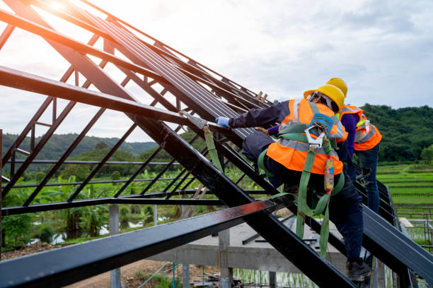 Best Roof Gutter Cleaning  in Robbins, NC