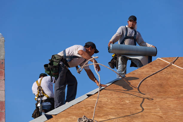 Best Roofing Contractor Near Me  in Robbins, NC