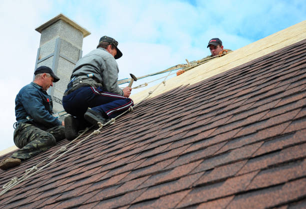 Best Roof Gutter Cleaning  in Robbins, NC
